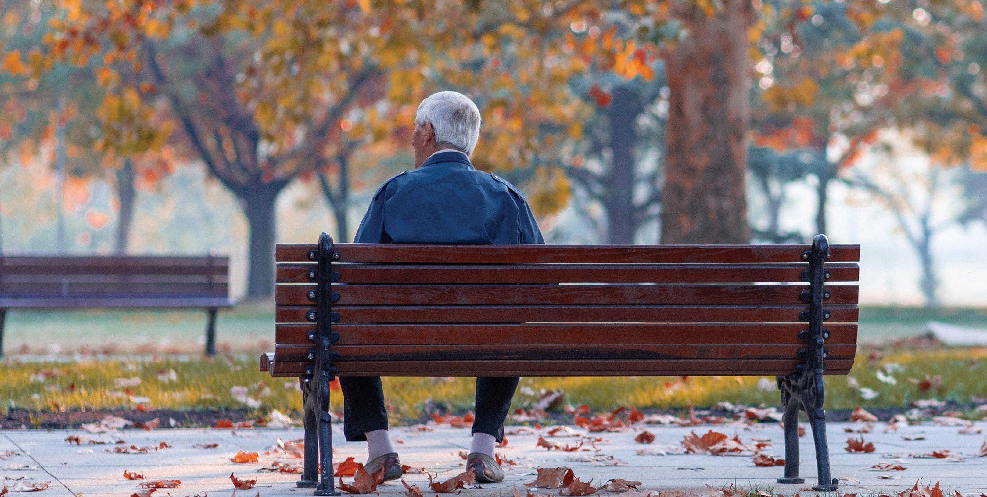 Personne seule sur un banc en automne